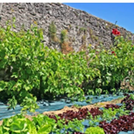 Domaine Le Martinet, The Originals Relais