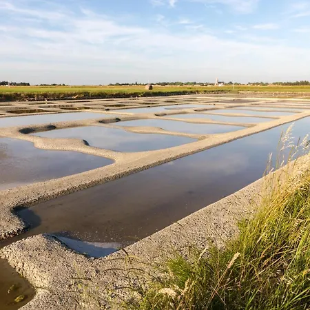 Hotel Domaine Le Martinet, The Originals Relais Bouin (Vendee)